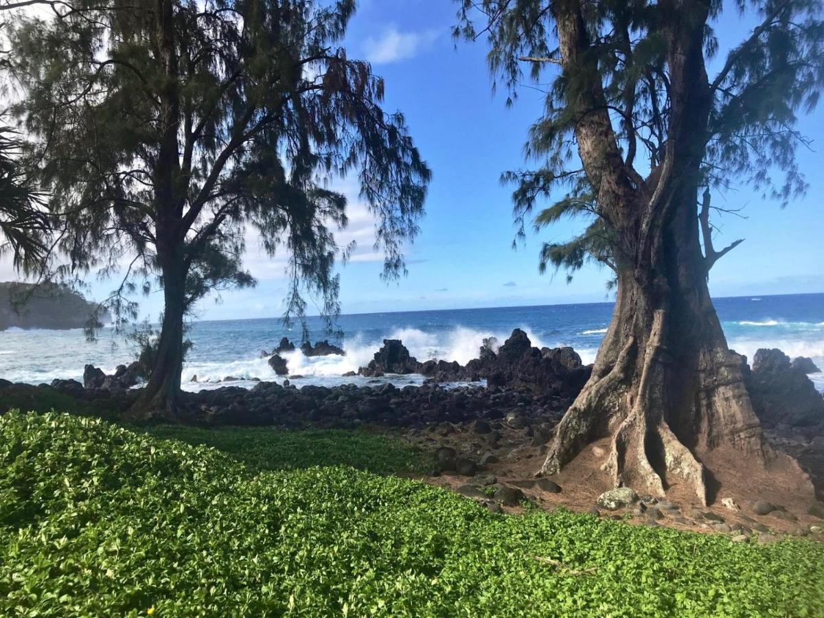 Unwind On Your Fantasy Hawaiian Vacation- 1Bd/1Ba Condo In Kailua-Kona, Hawaii Kültér fotó