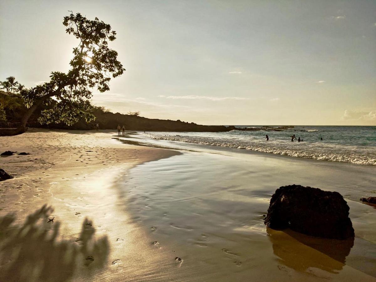Unwind On Your Fantasy Hawaiian Vacation- 1Bd/1Ba Condo In Kailua-Kona, Hawaii Kültér fotó